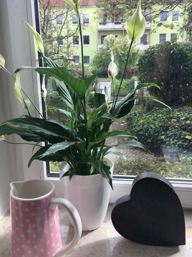 Gemuetliche Ferienwohnung Im Erdgeschoss- Jenaer Strasse Ерфурт Екстериор снимка